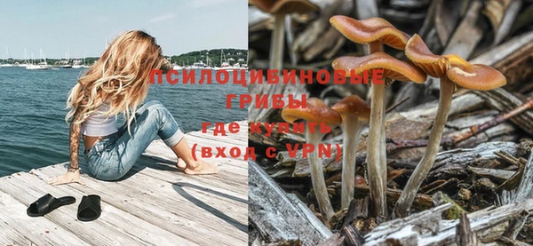 соль курить ск Армянск