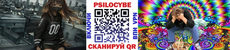 darknet официальный сайт  Павловский Посад  Псилоцибиновые грибы Magic Shrooms 